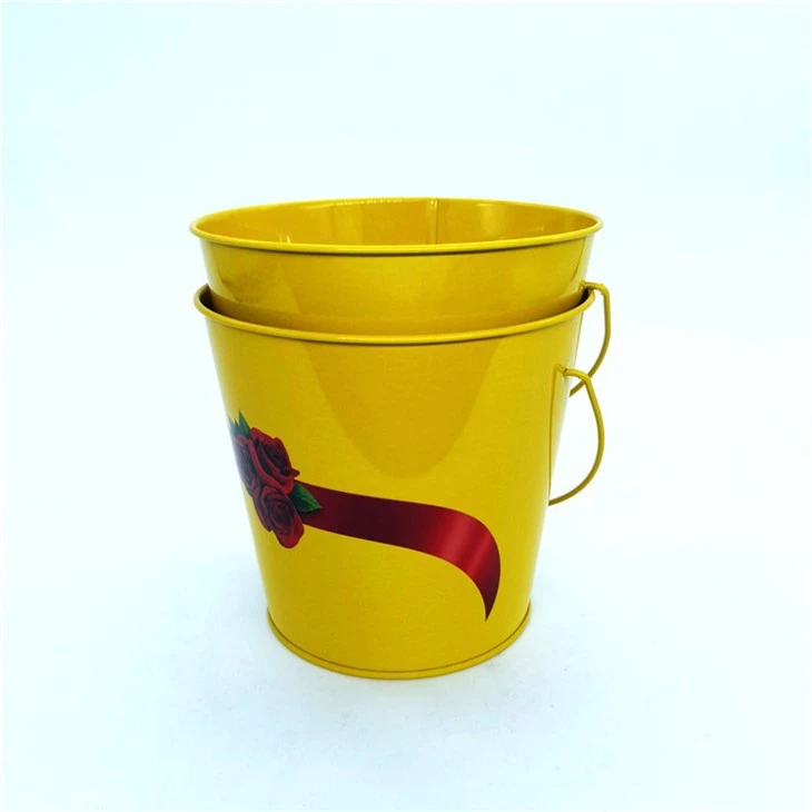 IMG_20200820_160339-800-800 IMG_20200820_160339-800-800